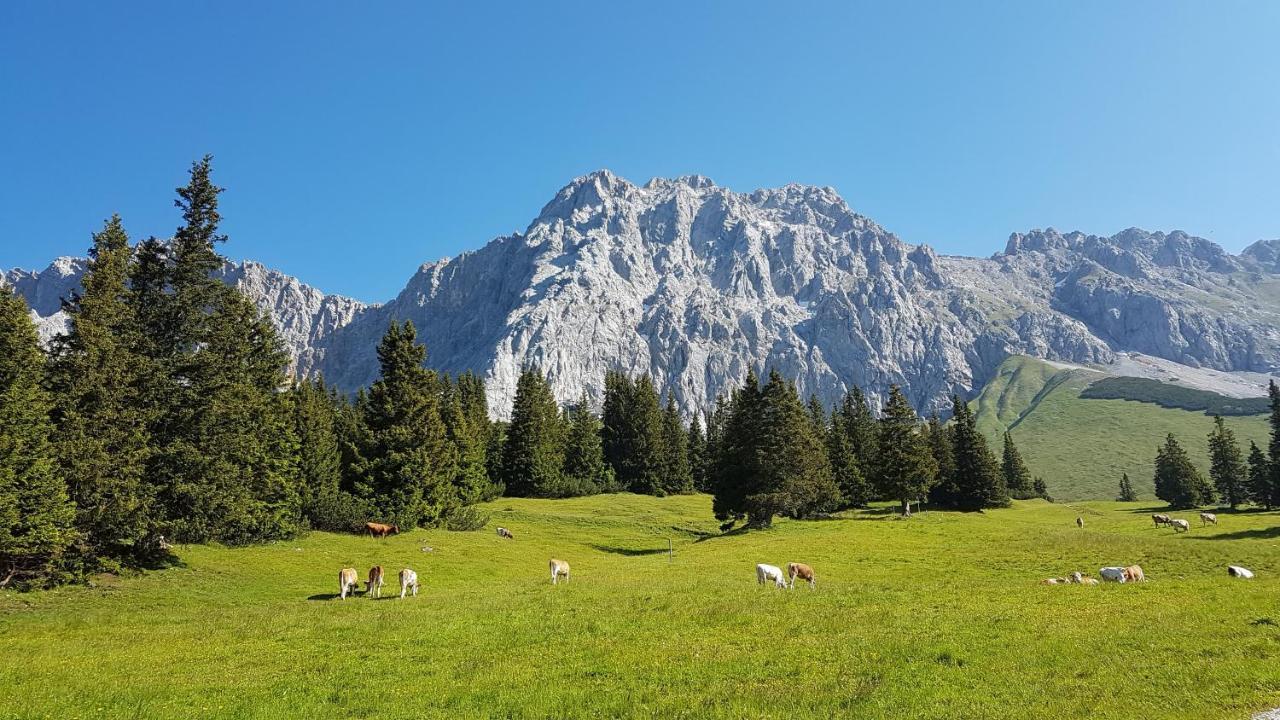 Hotel Alpspitz